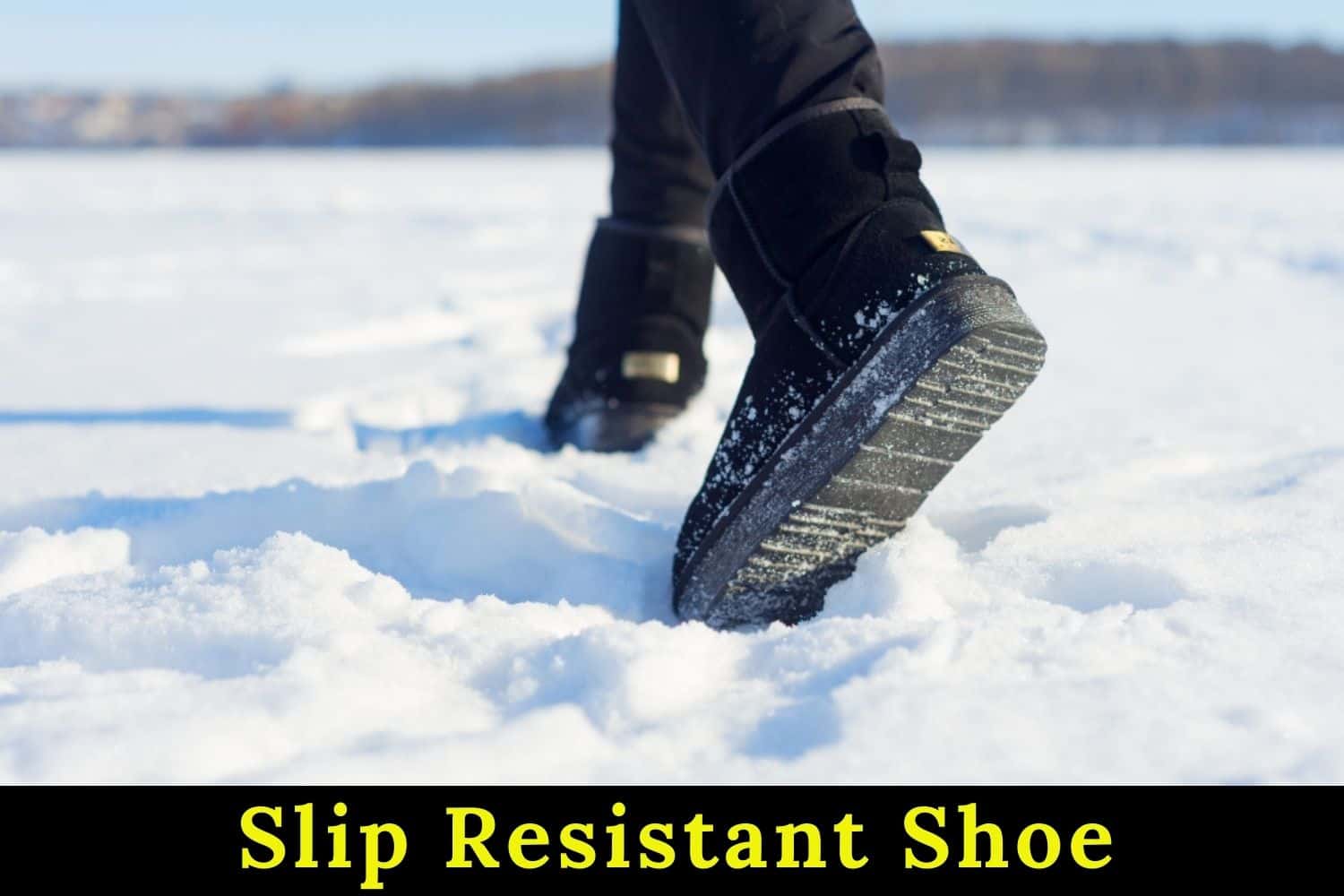 Slip Resistant Shoe
