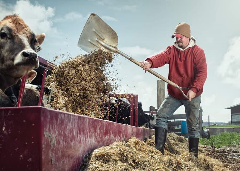 Best Rubber Boots For Farm Work