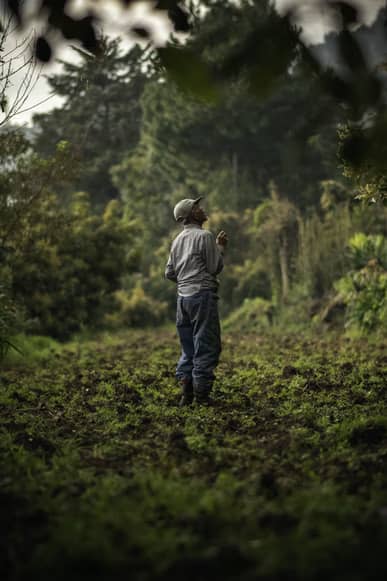 Best Work Boots For Farmers